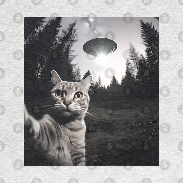 Cat took a selfie with UFO, Black and White Version by BloomInOctober